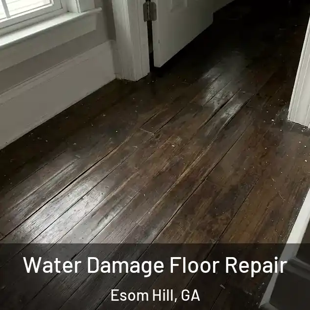  Water Damage Floor Repair Esom Hill, GA