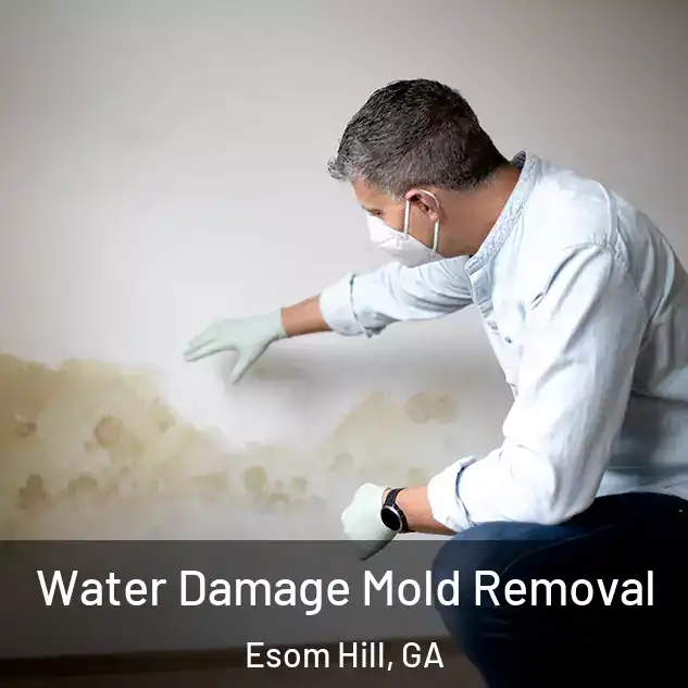  Water Damage Mold Removal Esom Hill, GA