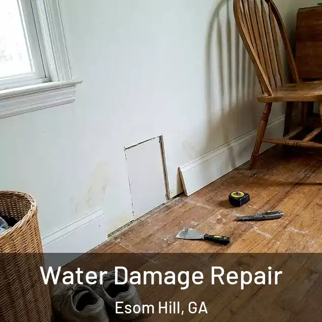 Water Damage Repair Esom Hill, GA