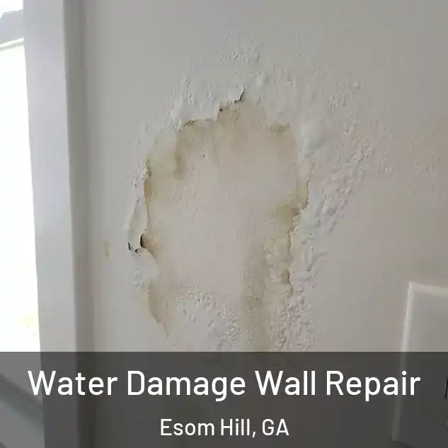  Water Damage Wall Repair Esom Hill, GA