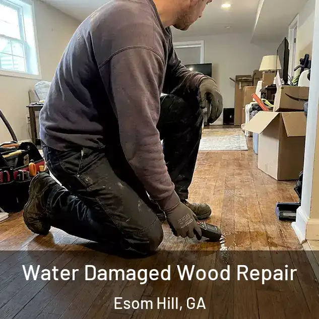 Water Damaged Wood Repair Esom Hill, GA