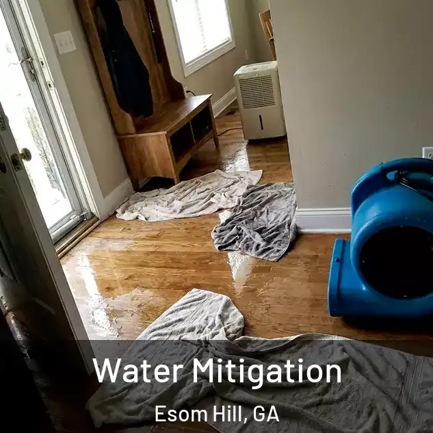  Water Mitigation Esom Hill, GA