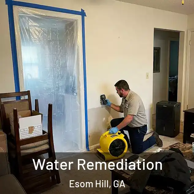  Water Remediation Esom Hill, GA