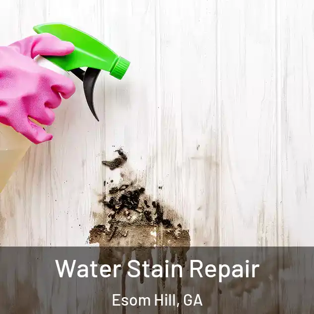  Water Stain Repair Esom Hill, GA