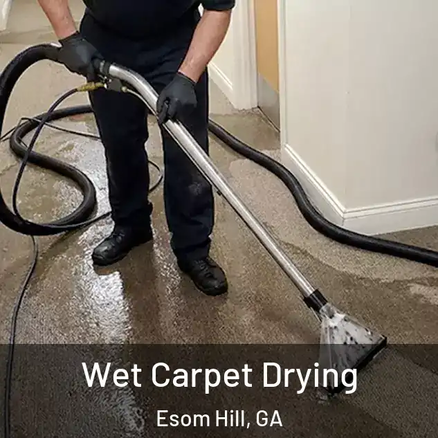  Wet Carpet Drying Esom Hill, GA