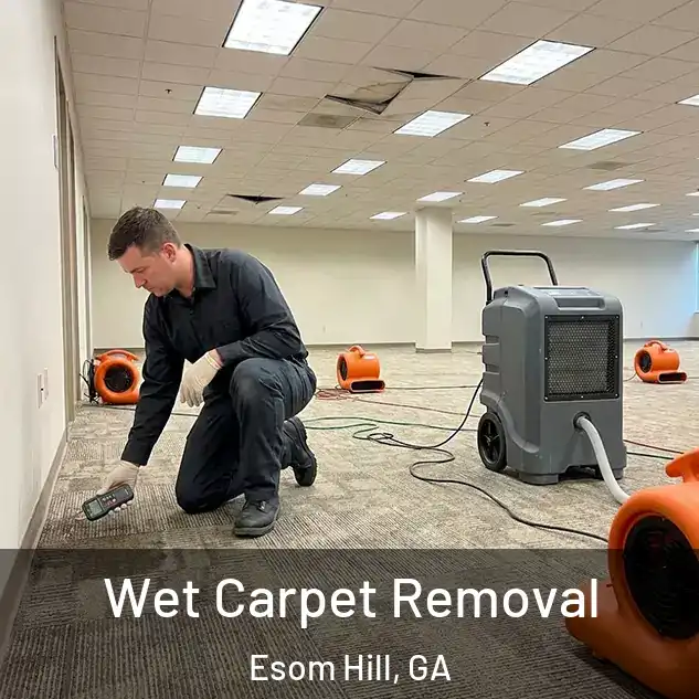  Wet Carpet Removal Esom Hill, GA